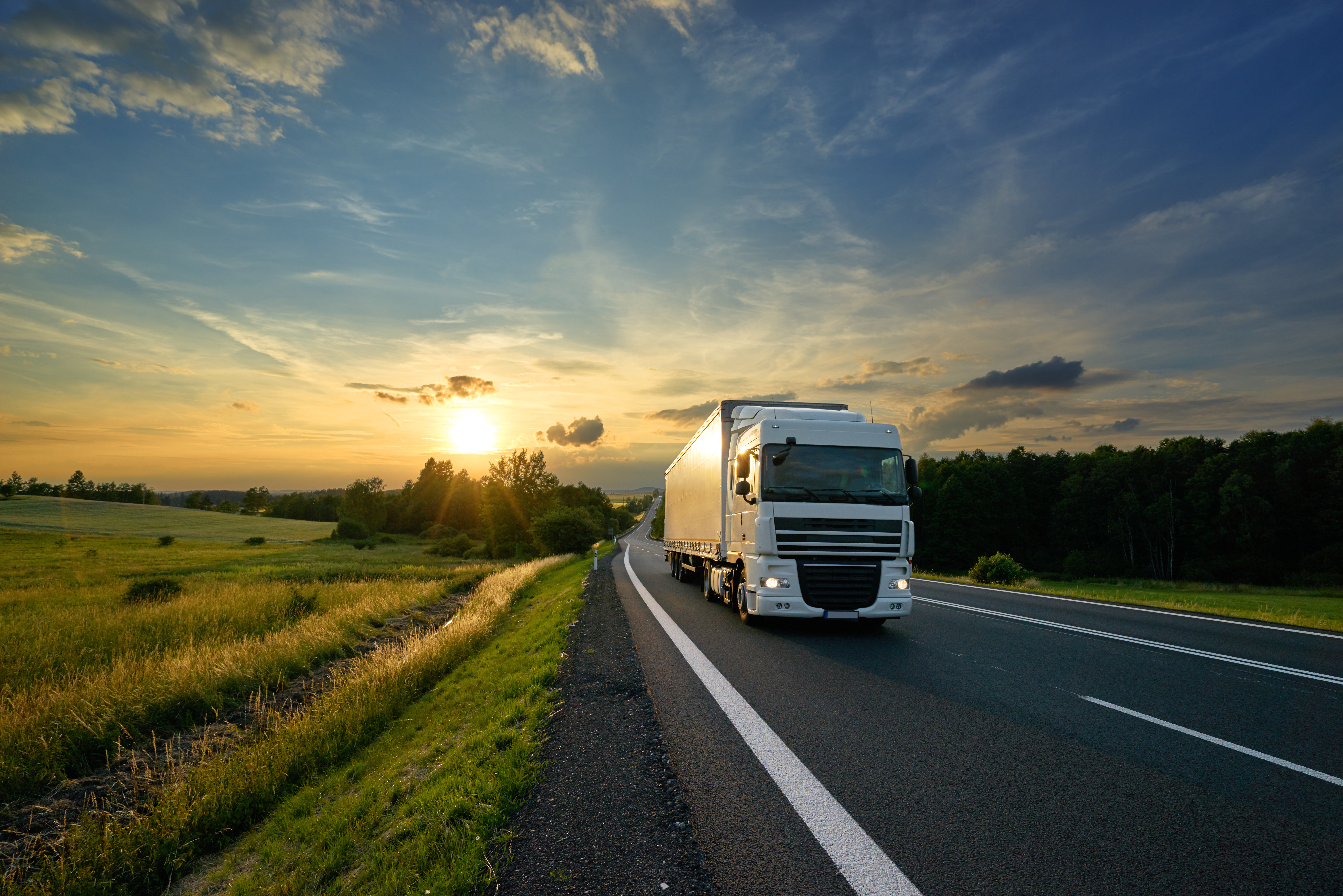 "Transport for own account" within the meaning of the Road Transport Act